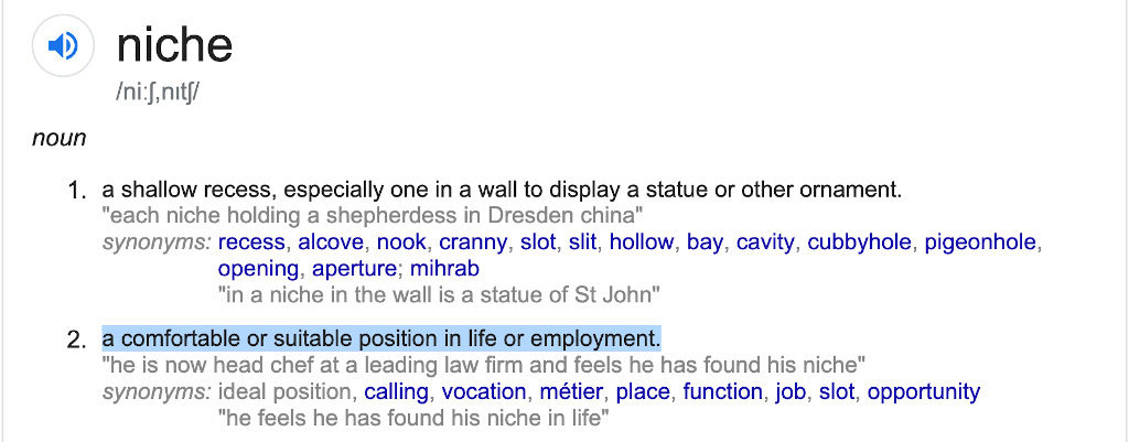 Meaning of Niche - A comfortable or suitable position in life or employment.